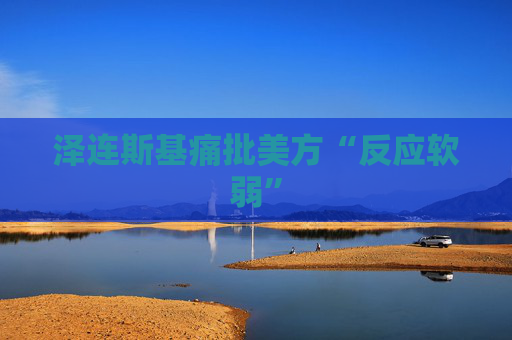 泽连斯基痛批美方“反应软弱”