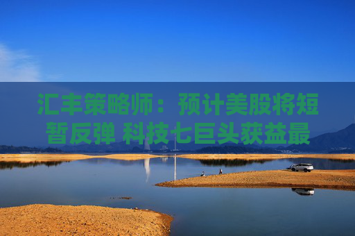 汇丰策略师：预计美股将短暂反弹 科技七巨头获益最多