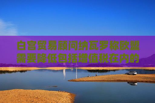 白宫贸易顾问纳瓦罗称欧盟需要降低包括增值税在内的非关税壁垒