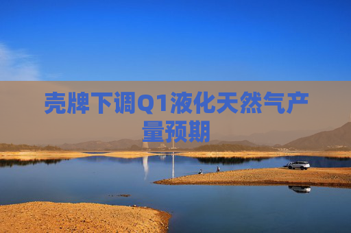 壳牌下调Q1液化天然气产量预期