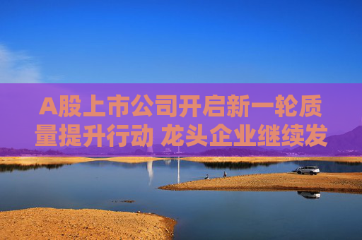 A股上市公司开启新一轮质量提升行动 龙头企业继续发挥“头雁效应”