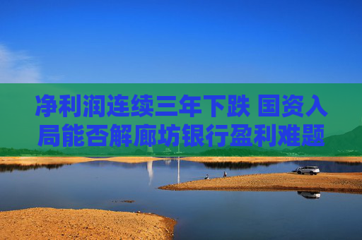 净利润连续三年下跌 国资入局能否解廊坊银行盈利难题