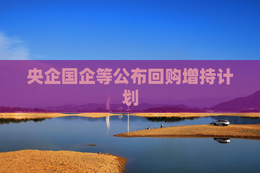 央企国企等公布回购增持计划