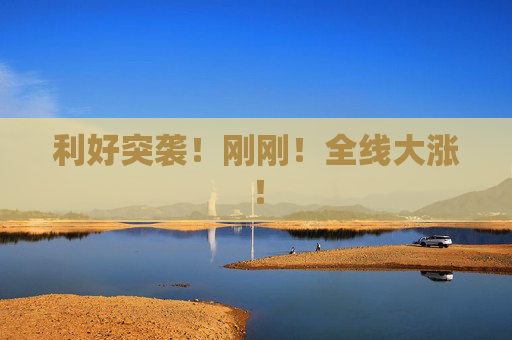 利好突袭！刚刚！全线大涨！