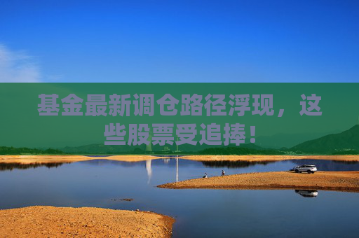 基金最新调仓路径浮现，这些股票受追捧！