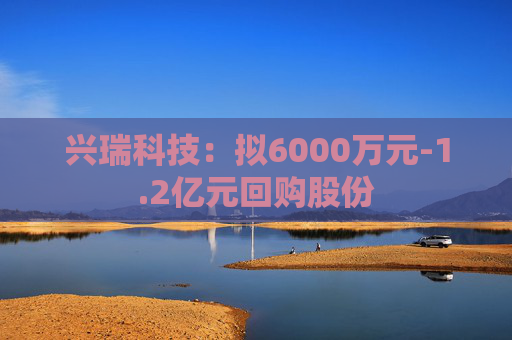 兴瑞科技：拟6000万元-1.2亿元回购股份