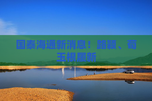 国泰海通新消息！路颖、荀玉根履新