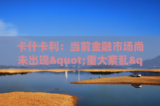 卡什卡利：当前金融市场尚未出现"重大紊乱"