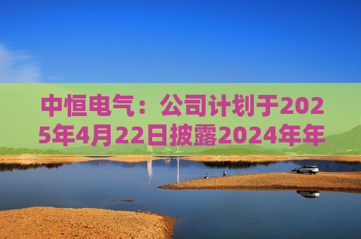 中恒电气：公司计划于2025年4月22日披露2024年年度报告