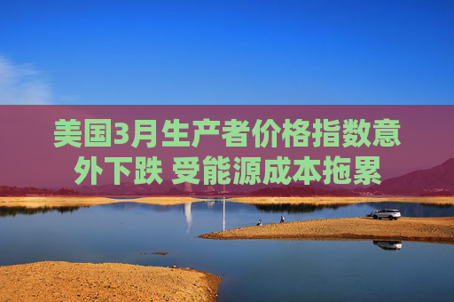 美国3月生产者价格指数意外下跌 受能源成本拖累