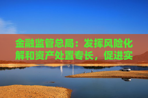 金融监管总局：发挥风险化解和资产处置专长，促进实体经济健康发展