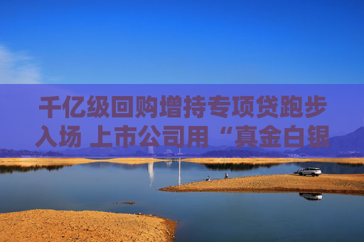 千亿级回购增持专项贷跑步入场 上市公司用“真金白银”提振信心