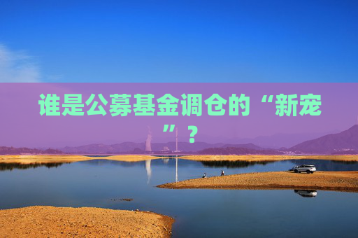 谁是公募基金调仓的“新宠”？