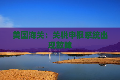 美国海关：关税申报系统出现故障