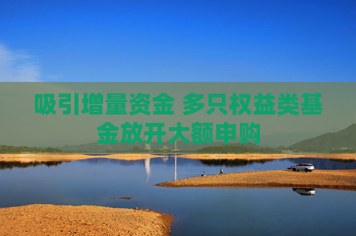 吸引增量资金 多只权益类基金放开大额申购
