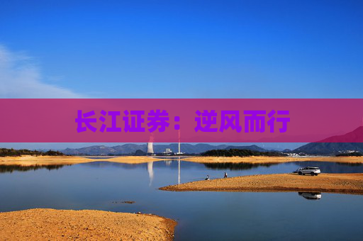 长江证券：逆风而行