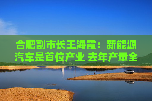 合肥副市长王海霞：新能源汽车是首位产业 去年产量全国第二