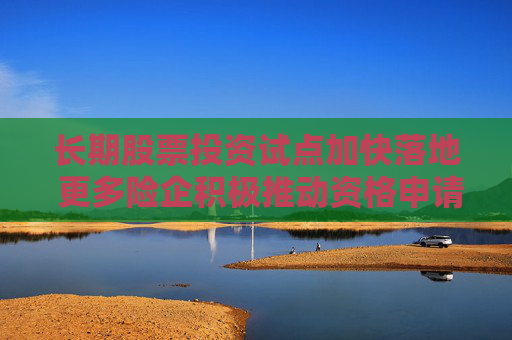 长期股票投资试点加快落地 更多险企积极推动资格申请