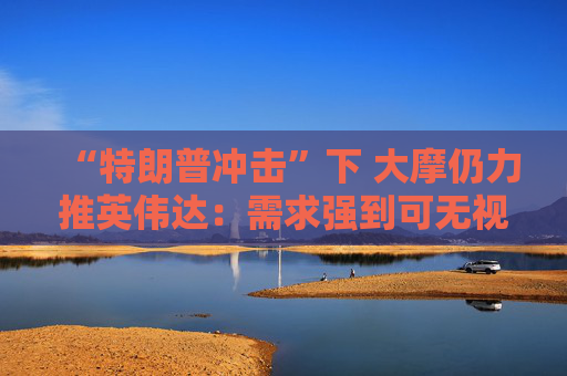 “特朗普冲击”下 大摩仍力推英伟达：需求强到可无视关税！