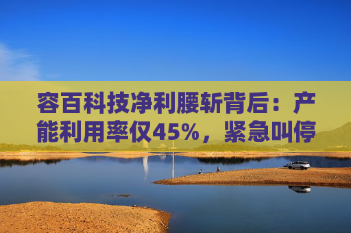 容百科技净利腰斩背后：产能利用率仅45%，紧急叫停扩产项目