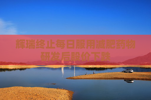 辉瑞终止每日服用减肥药物研发后股价下跌