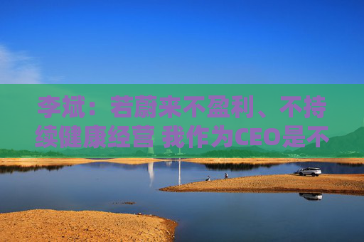 李斌：若蔚来不盈利、不持续健康经营 我作为CEO是不称职的