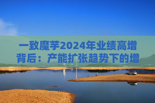 一致魔芋2024年业绩高增背后：产能扩张趋势下的增长密码