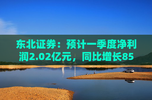 东北证券：预计一季度净利润2.02亿元，同比增长859.84%