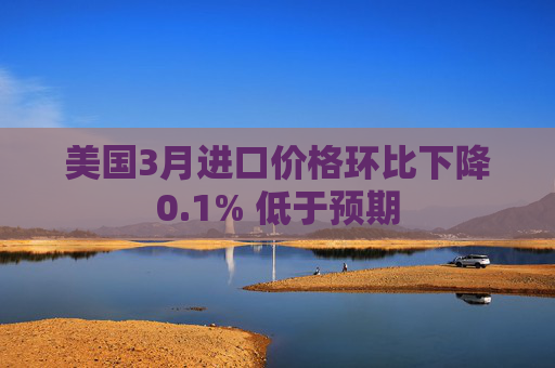 美国3月进口价格环比下降0.1% 低于预期