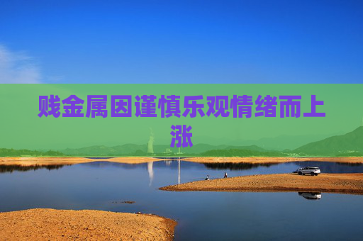 贱金属因谨慎乐观情绪而上涨