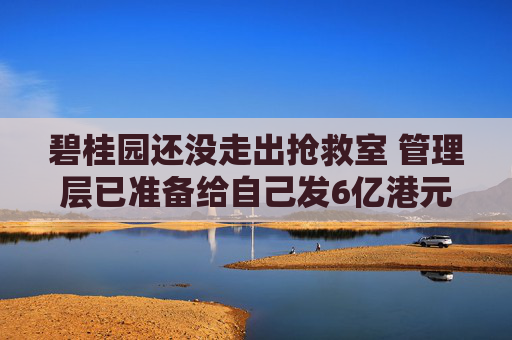 碧桂园还没走出抢救室 管理层已准备给自己发6亿港元激励