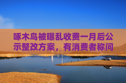 啄木鸟被曝乱收费一月后公示整改方案，有消费者称问题仍未解决
