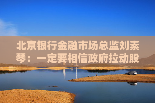 北京银行金融市场总监刘素琴：一定要相信政府拉动股市的决心