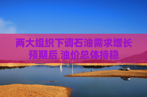 两大组织下调石油需求增长预期后 油价总体持稳