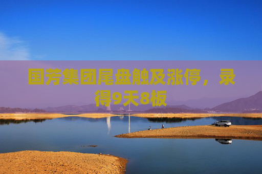 国芳集团尾盘触及涨停，录得9天8板