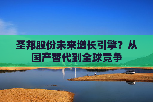 圣邦股份未来增长引擎？从国产替代到全球竞争