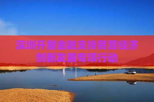 深圳开展金融支持民营经济创新发展专项行动