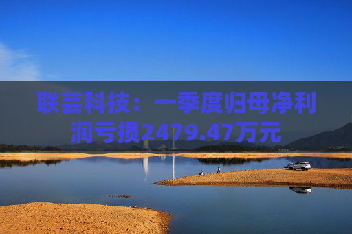 联芸科技：一季度归母净利润亏损2479.47万元