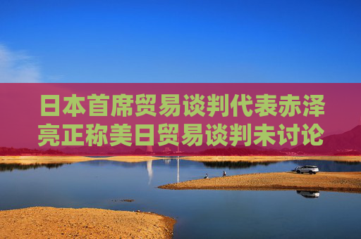 日本首席贸易谈判代表赤泽亮正称美日贸易谈判未讨论汇率问题 日元走软