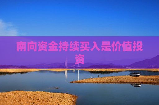 南向资金持续买入是价值投资