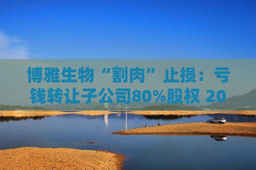 博雅生物“割肉”止损：亏钱转让子公司80%股权 2024年斥资近5亿元增资扩股