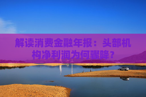 解读消费金融年报：头部机构净利润为何骤降？