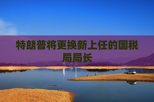 特朗普将更换新上任的国税局局长