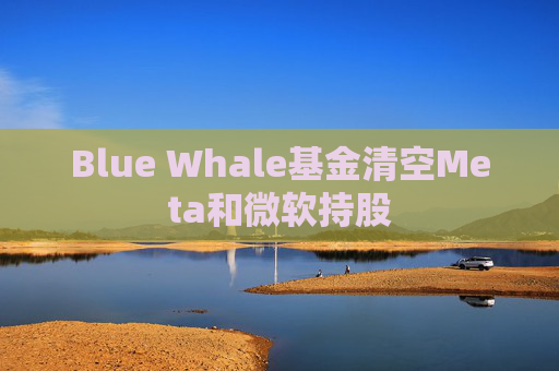 Blue Whale基金清空Meta和微软持股