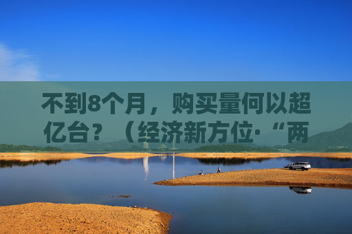 不到8个月，购买量何以超亿台？（经济新方位·“两新”政策发力显效）