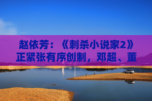 赵依芳：《刺杀小说家2》正紧张有序创制，邓超、董子健、雷佳音、张震、辛芷蕾参与