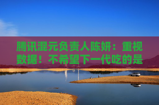 腾讯混元负责人陈妍：重视数据！不希望下一代吃的是大模型吐出来的垃圾