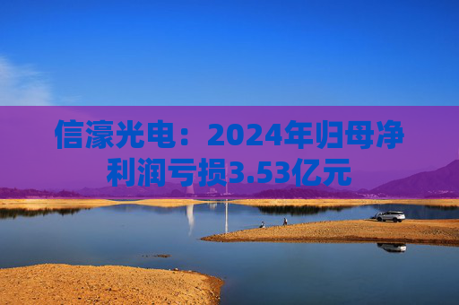 信濠光电：2024年归母净利润亏损3.53亿元