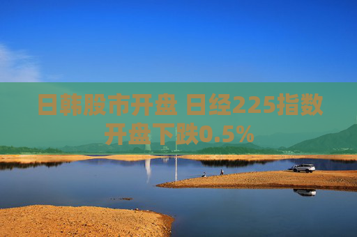 日韩股市开盘 日经225指数开盘下跌0.5%