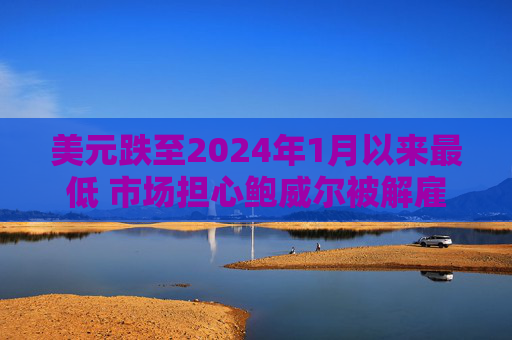 美元跌至2024年1月以来最低 市场担心鲍威尔被解雇